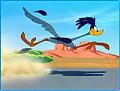 RoadRunner's Photo
