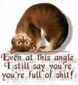 gavafcb's Photo